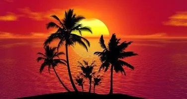 summer